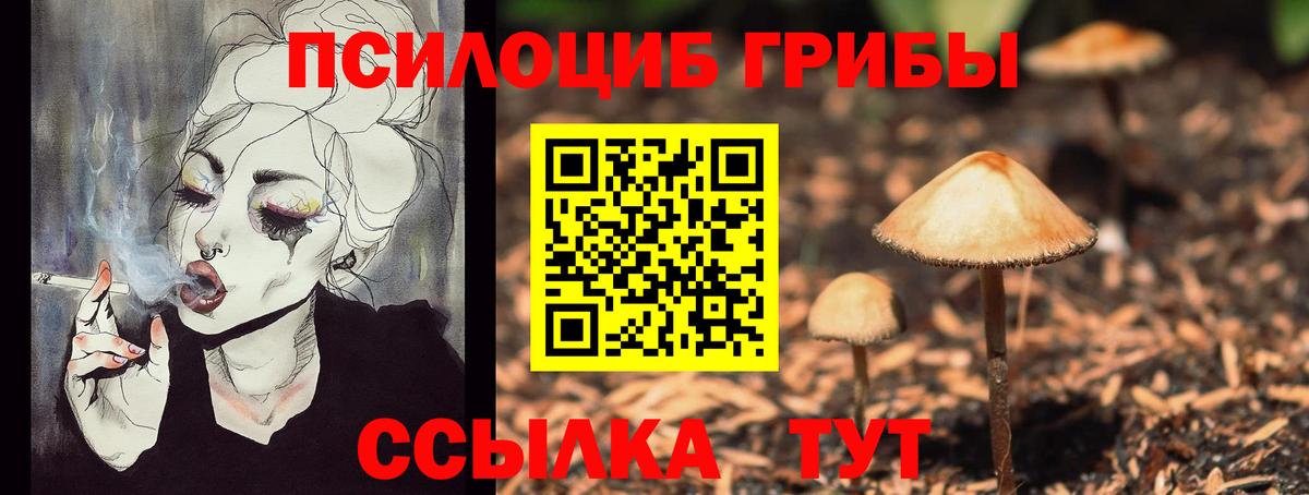 Псилоцибиновые грибы Cubensis  Вход с VPN  Кувандык 